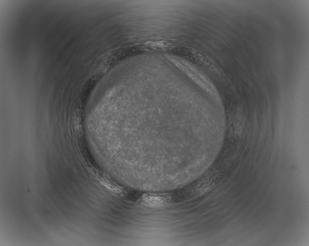 X0000082180706200702092309