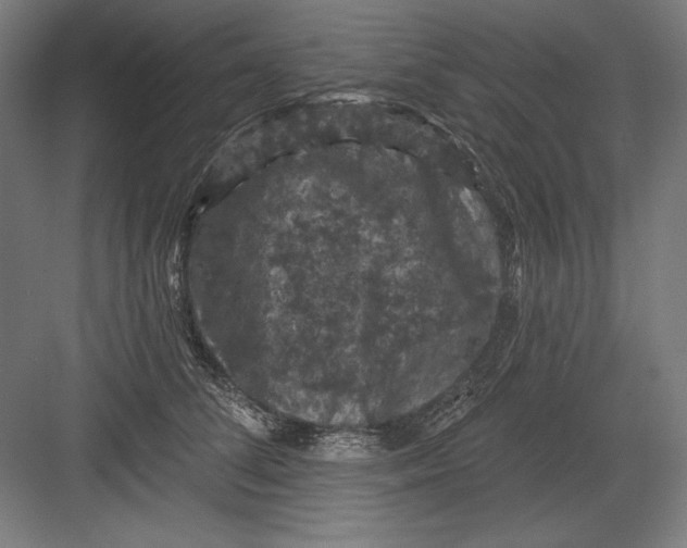 X0000082180708200702092309