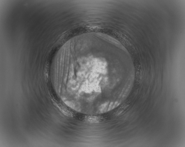 X0000082180710200702092309