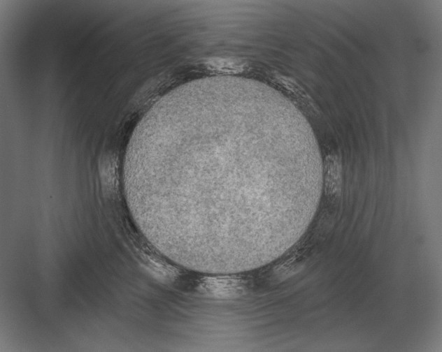 X0000082180713200702092309