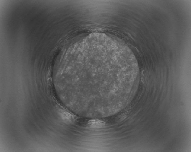 X0000082180714200702092309