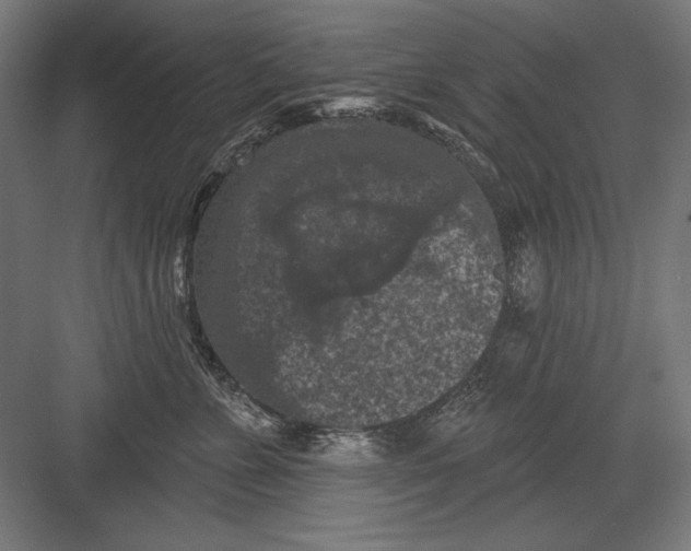 X0000082180715200702092309