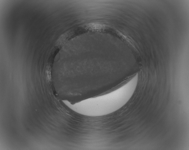 X0000082180718200702092309