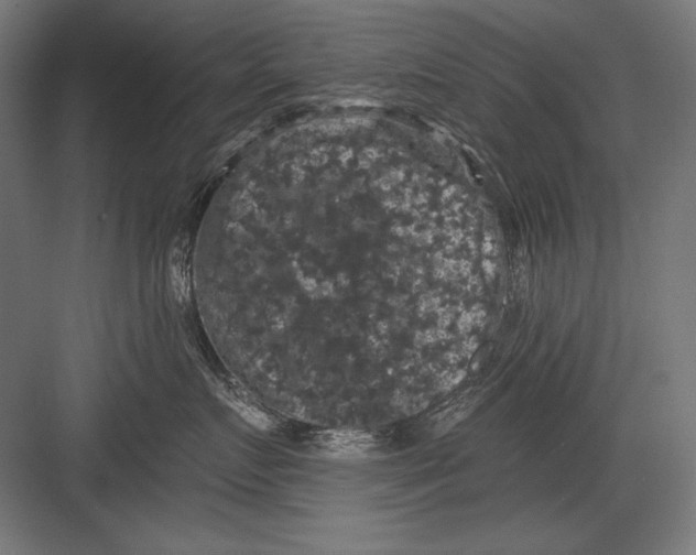 X0000082180719200702092309