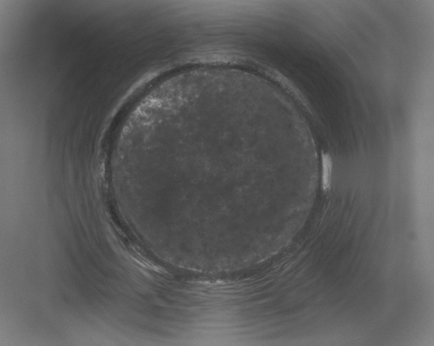 X0000082180723200702092308