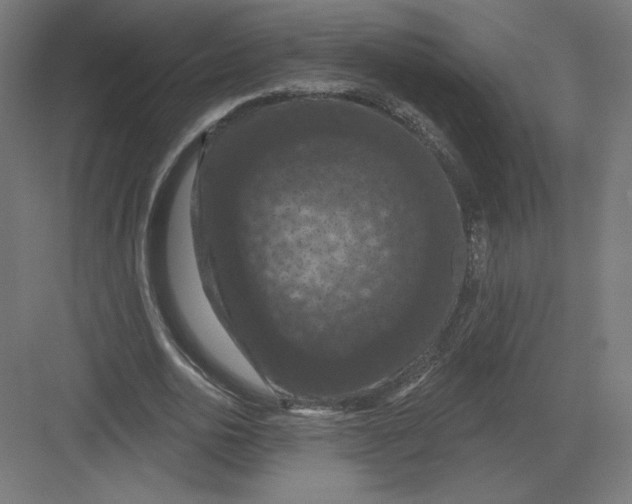 X0000082180726200702092309