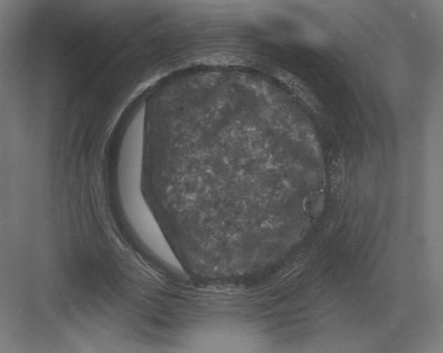 X0000082180727200702092309
