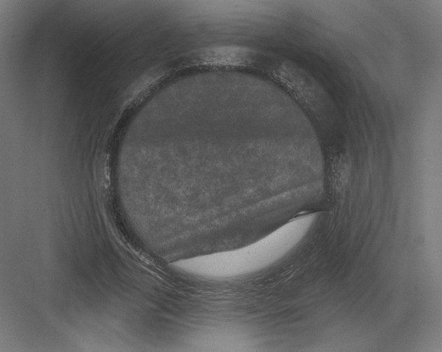 X0000082180731200702092309