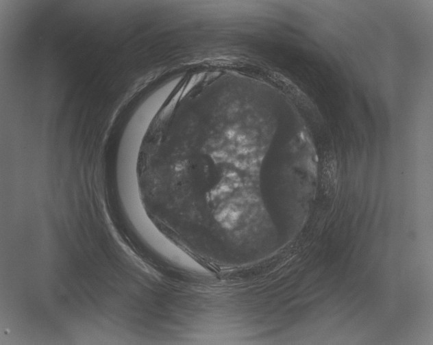 X0000082180734200702092309