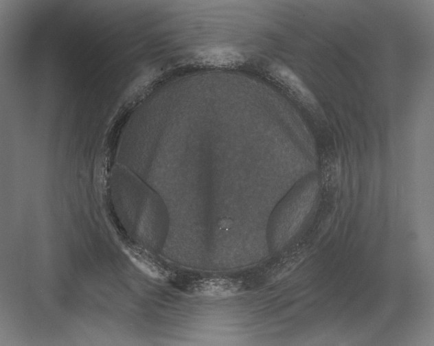 X0000082180736200702092309
