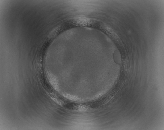 X0000082180737200702092309