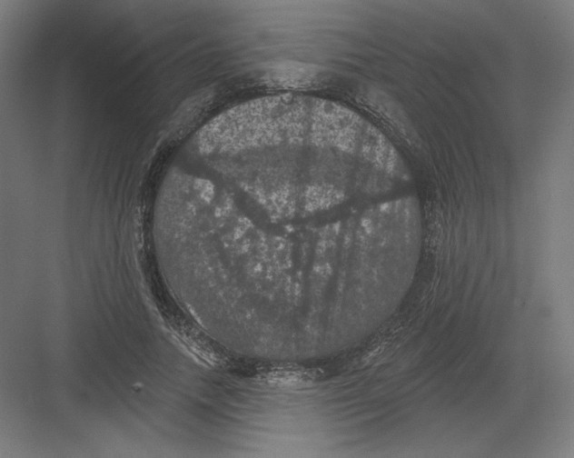 X0000082180738200702092309