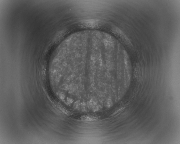X0000082180739200702092309