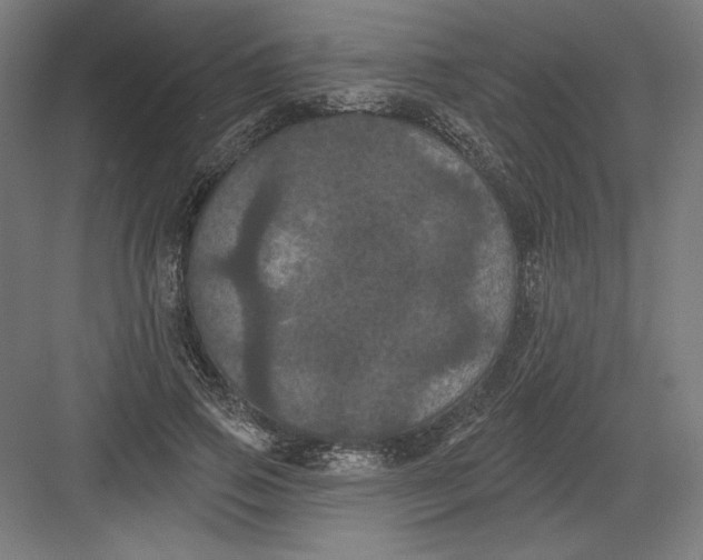 X0000082180741200702092309