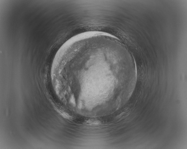 X0000082180742200702092309
