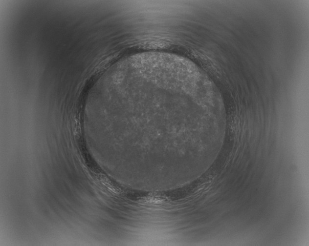 X0000082180743200702092309