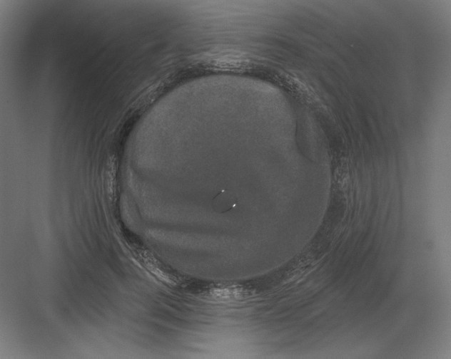 X0000082180744200702092309