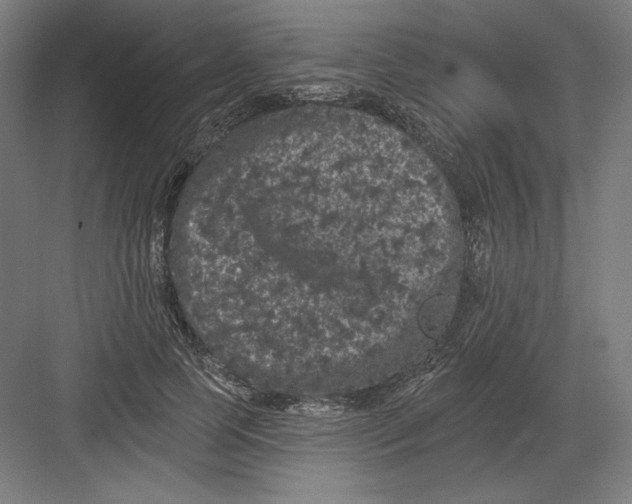 X0000082180745200702092309