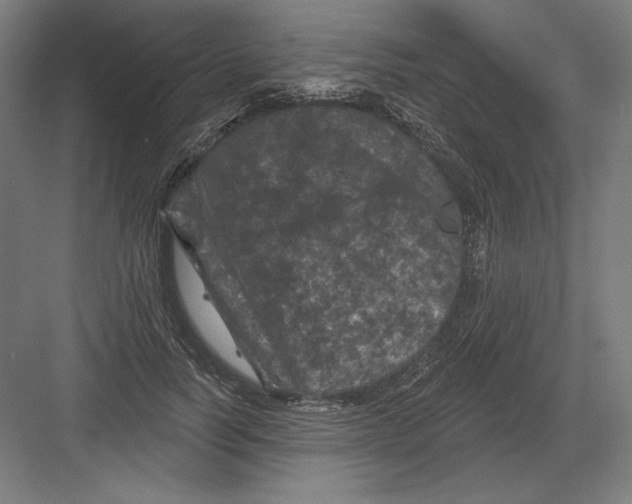 X0000082180746200702092309