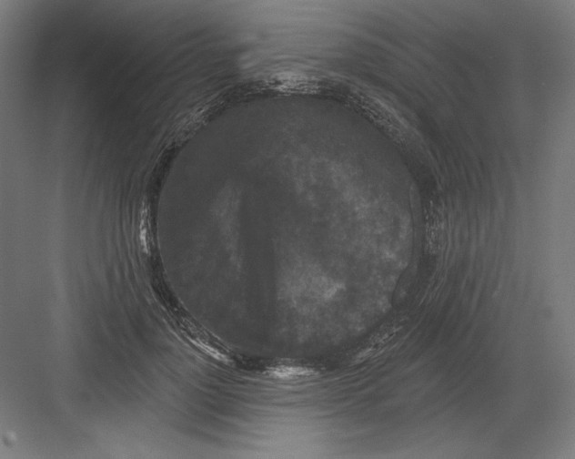 X0000082180748200702092309