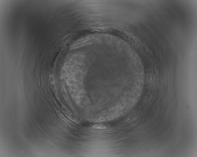 X0000082180749200702092309