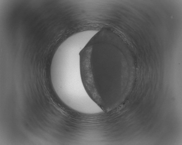 X0000082180750200702092309