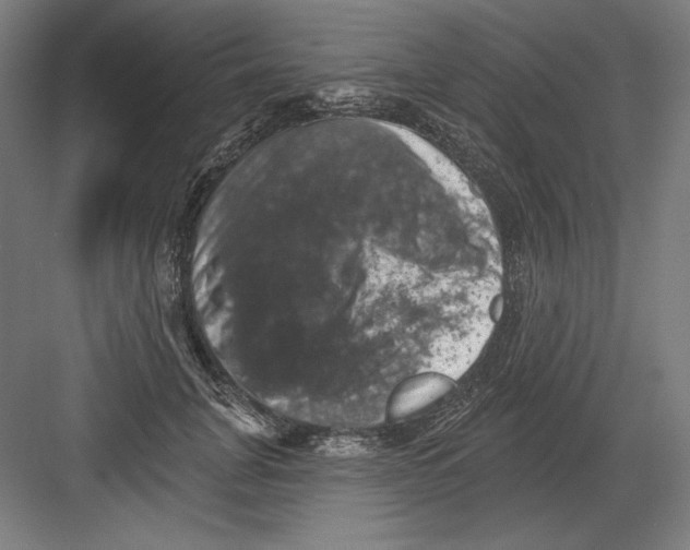 X0000082180751200702092309