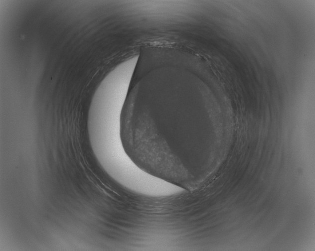 X0000082180752200702092309