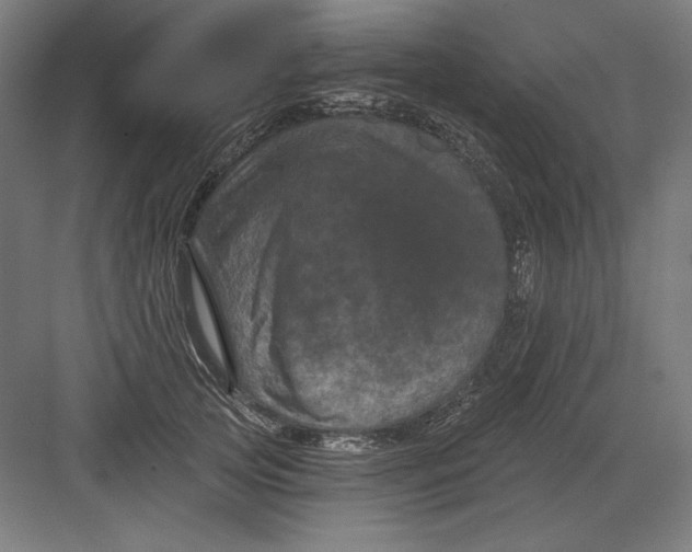 X0000082180753200702092309