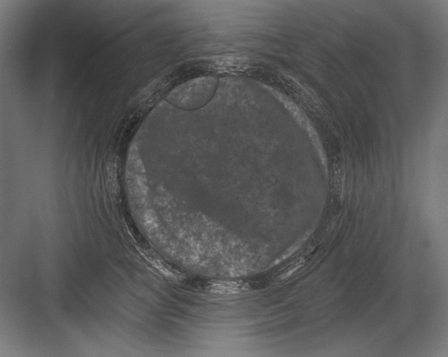 X0000082180757200702092309