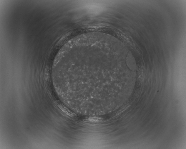 X0000082180758200702092309