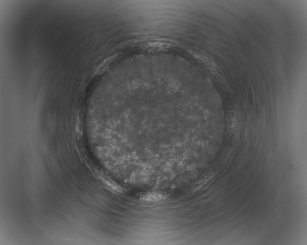 X0000082180759200702092309