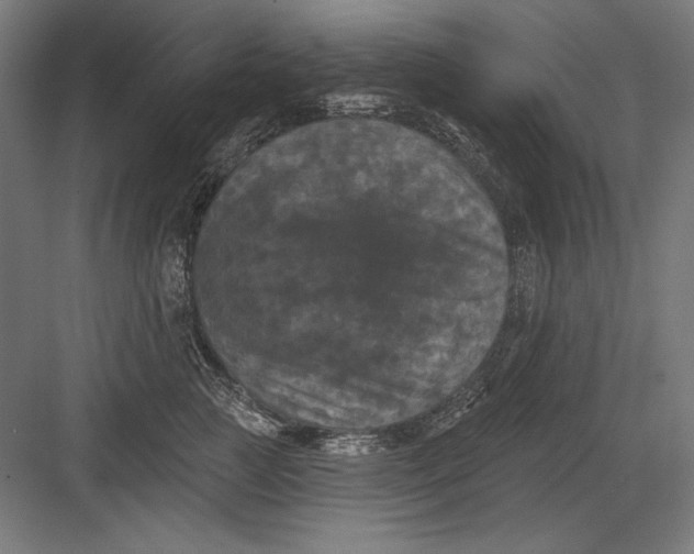 X0000082180761200702092309
