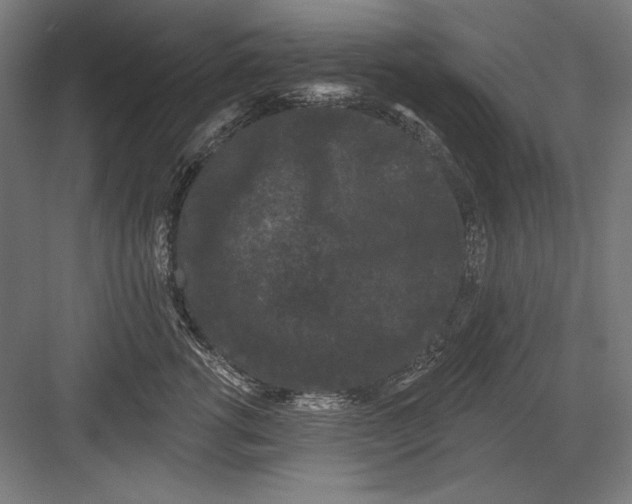 X0000082180762200702092309