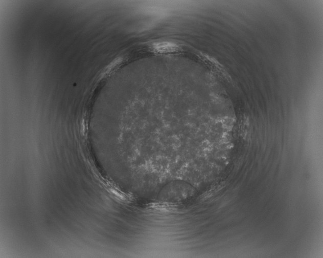 X0000082180763200702092309
