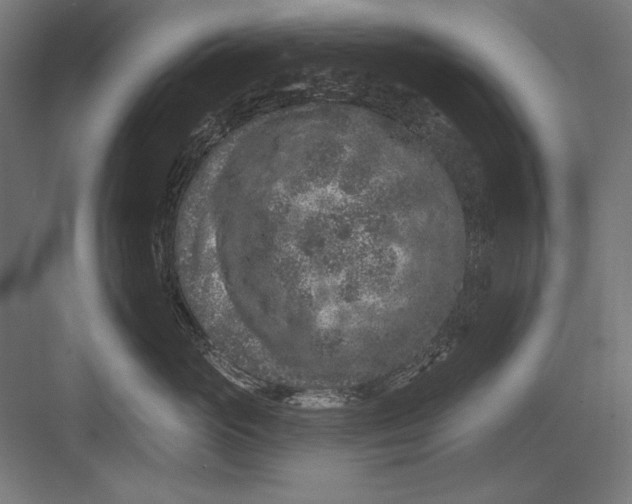 X0000082180765200702092309