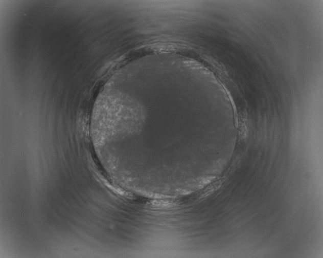 X0000082180766200702092309