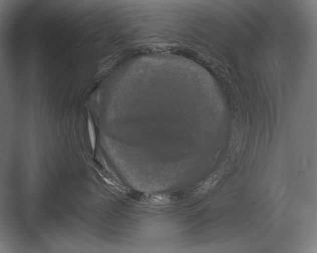 X0000082180768200702092309
