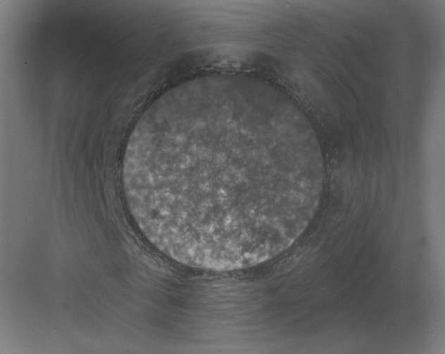 X0000082180769200702092308