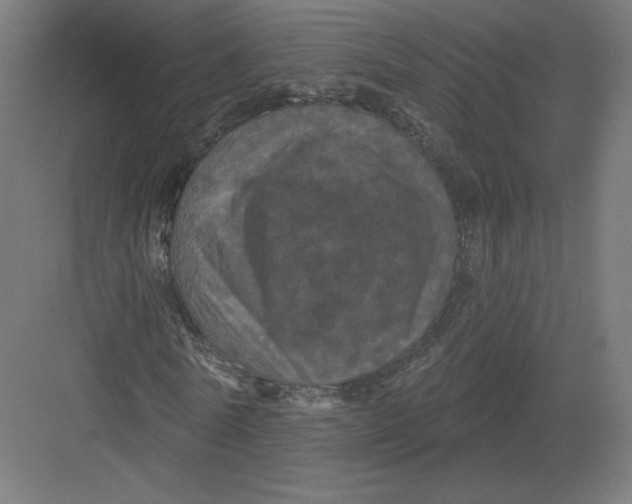 X0000082180770200702092308