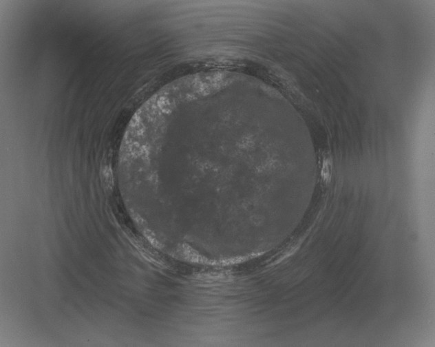 X0000082180771200702092308