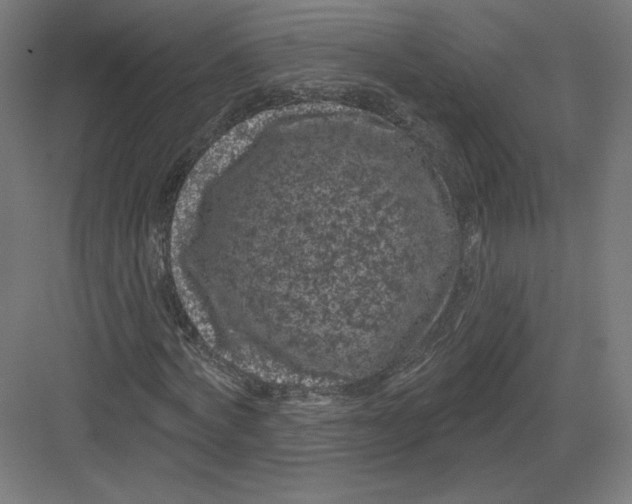 X0000082180772200702092308