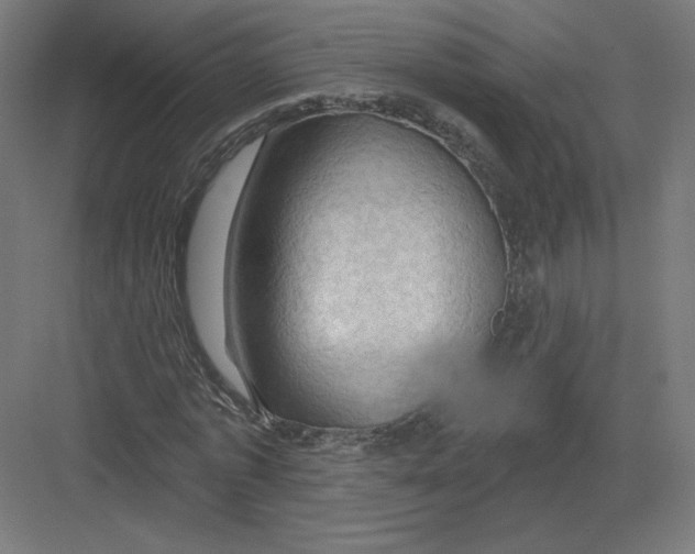 X0000082180773200702092308