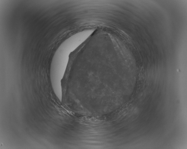 X0000082180774200702092308