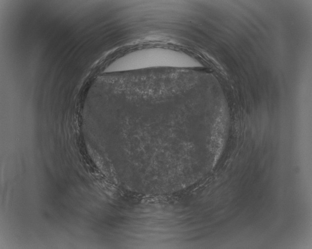 X0000082180776200702092308