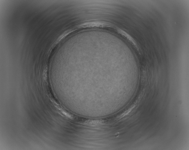 X0000082180778200702092308