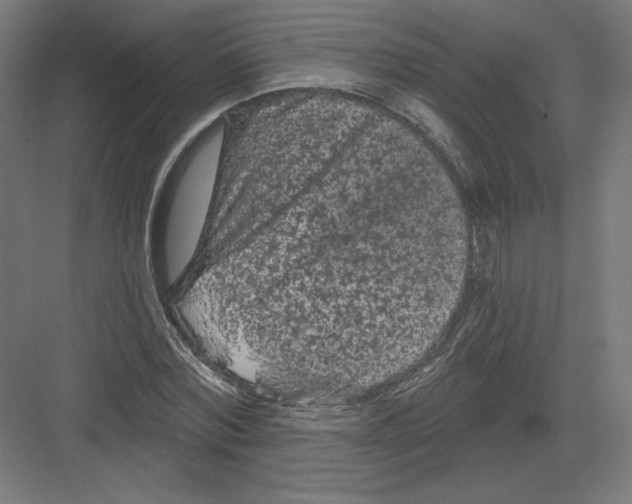 X0000082180780200702092308