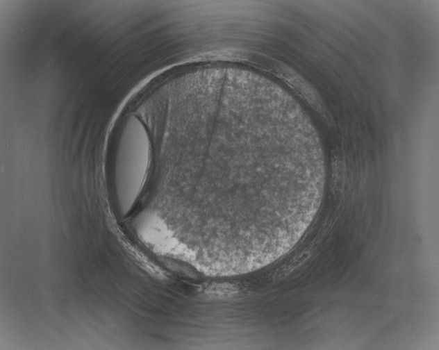 X0000082180784200702092308
