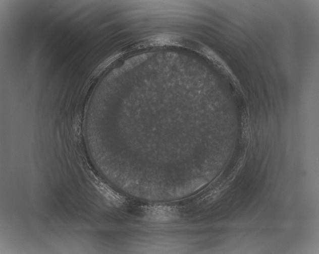 X0000082180785200702092308