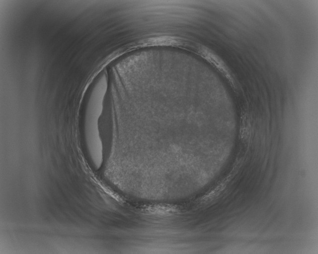 X0000082180786200702092308
